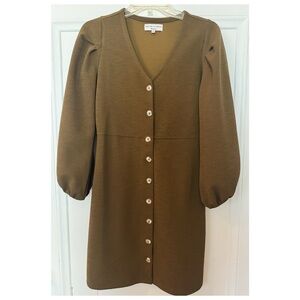 Madewell Olive/Brown Button-Down Dress